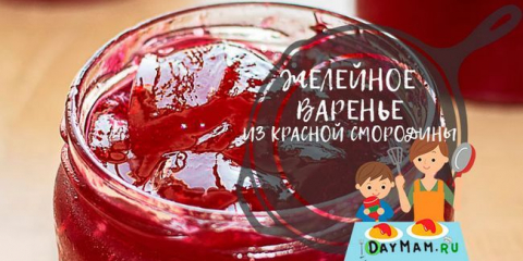 Džem z červeného rybízu 5 minut na zimu